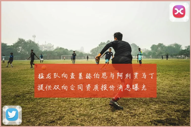 猛龙队向查基赫伯恩与阿利贾马丁提供双向合同资质报价消息曝光